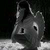 moonshine_281