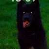 usyraf786