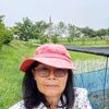 user2185306110924
