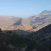 omid8058