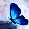 queen_1460