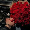 hanan.magdy71
