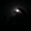 ali.moen1