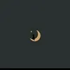 saraalves889