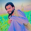 437mudasir