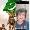 syedmustafahussain273