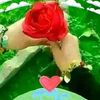 jiino.isman8