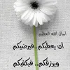user192827668534