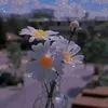 user5ywox3z61q