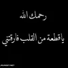 user9457181456908