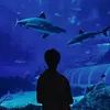 psico_fih777