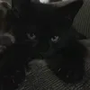 miretikwww