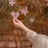 ayesha.malik8528