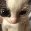 irochka_19