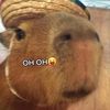 capybarahehe123