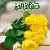 user859307037474