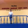 quynhmai2282
