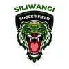 SiliwangiSoccer_field