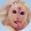 safiy.a_