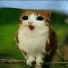 jumpingdinosaur8