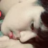 trinhthiphai