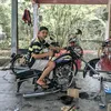 thom_thom16