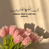 xamdaabdi22