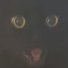 jackalaiison