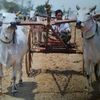user5701950172072