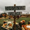 pumpkinpickingvillage