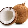 coconut123re