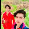 arshadalichohan91