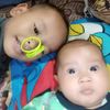 radeya486