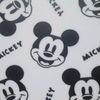 parploy55