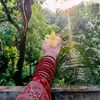 fariyha1234