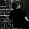 _zamss29