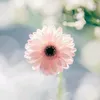 ruby69735