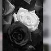siyah_beyaz565