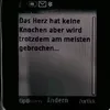 angelo_1200_vie