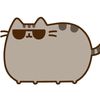 pusheenmeow.miyav_