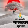 vidhadharmahich