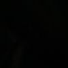 user54072336179135