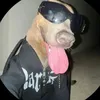 burgerderechte1