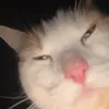 harazadaz