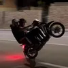 l_martinovic50