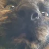 oscar_w_11