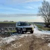 landy_bulls