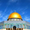 khalidelhaiba8