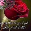user3xrfjtr90r
