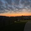 jaiwoodward630
